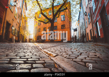 Charmante Stockholm street Szene mit alten bunten Häuser in wunderschönen goldenen Abendlicht bei Sonnenuntergang in Gamla Stan, die Altstadt, Schweden Stockfoto