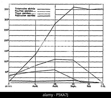 70 Aimé Girard-Forschung sur la Pomme de terre industrielle 1900 - Diagramm 2 Stockfoto