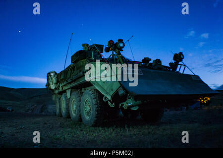 Einen M1132Ingenieur Gruppe gehörendes Alpha Company, 898th Brigade Engineer Battalion, 81th Stryker Brigade Combat Team, sitzt unter dem Nachthimmel auf einem Abrisse in Yakima Training Center, Yakima, Washington, 12. Juli 2018. Die M1132 ist die Bekämpfung engineering Variante des Stryker armored Fighting Vehicle. (U.S. Army National Guard Foto von Sgt. 1. Klasse Jason Kriess) Stockfoto