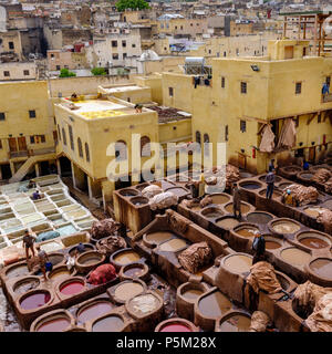 Die Gerberei in Fes. Nur Veröffentlicht einige Fotos und Geschichte über an meinem Blog aus meiner Tage in Fes. Link in Bio. Schießen mit der Fuji GFX 50 S. Stockfoto