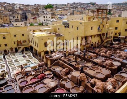 FEZ, MAROKKO - ca. April 2017: Ansicht der Gerberei und Arbeitnehmer in Fes. Stockfoto