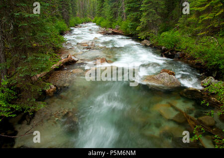 Lostine Wild and Scenic River, Wallowa-Whitman National Forest, Oregon Stockfoto