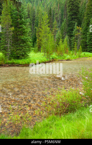 Lostine Wild and Scenic River, Wallowa-Whitman National Forest, Oregon Stockfoto