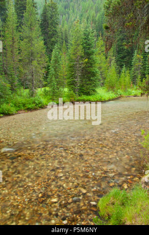 Lostine Wild and Scenic River, Wallowa-Whitman National Forest, Oregon Stockfoto