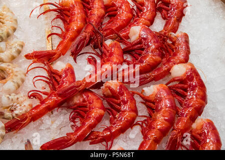 Rote Riesen Garnelen zum Verkauf auf einem Markt in Madrid, Spanien Stockfoto