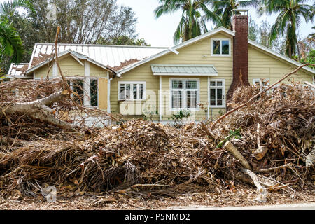 Naples, Florida, Crayton Road, Hurrikan Irma, Zerstörung von Windschäden nach der Zerstörung, umgestürzte Bäume, Büsche, Äste, Trümmerhaufen, Säuberung der Sturmkatastrophe, Stockfoto