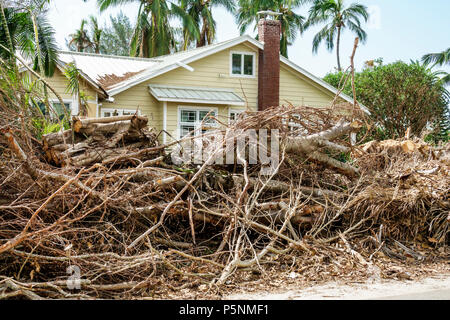 Naples, Florida, Crayton Road, Hurrikan Irma, Zerstörung von Windschäden nach der Zerstörung, umgestürzte Bäume, Büsche, Äste, Trümmerhaufen, Säuberung der Sturmkatastrophe, Stockfoto