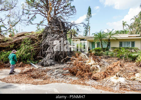 Naples, Florida, Crayton Road, Hurrikan Irma, Zerstörung von Windschäden nach der Zerstörung, umgestürzte Bäume, Büsche, Äste, Trümmerhaufen, Säuberung der Sturmkatastrophe, Stockfoto