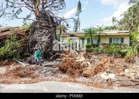 Naples, Florida, Crayton Road, Hurrikan Irma, Zerstörung von Windschäden nach der Zerstörung, umgestürzte Bäume, Büsche, Äste, Trümmerhaufen, Säuberung der Sturmkatastrophe, Stockfoto