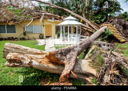 Fort Ft. Myers Florida, Haus Häuser Häuser Wohnsitz, Sturm Schäden Zerstörung Nachwirkungen, gefallenen Baum Hurrikan Irma, beschädigte Dach, Baumstamm, FL17092 Stockfoto