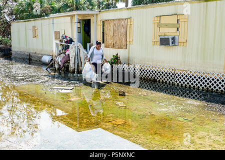 Florida, Bonita Springs, nach dem Hurrikan Irma Sturm Regenschäden, Überschwemmungen, Mobilpark Wohnwagen nach Hause, Erholung, Reinigung, Schäden Zerstörung nach, hispanisch Stockfoto