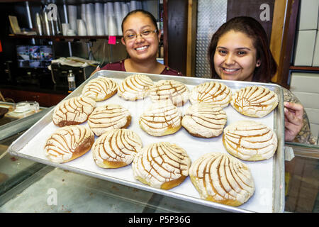 Immokalee Florida, Casa Dulce mexikanische Bäckerei, innen, Bäckerei, Geschäft, hispanische Frau weibliche Frauen, Job, Arbeit Arbeitnehmer Mitarbeiter emplo Stockfoto