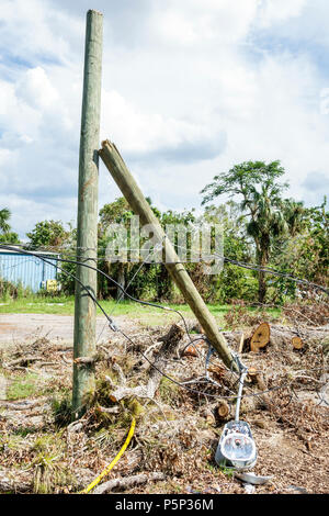 Florida, LaBelle, nach dem Hurrikan Irma, Windsturmschäden, Zerstörungen nach der Katastrophe, Katastrophenhilfe, Lichtmast des Versorgungstelefons defekt, beschädigt, Visi Stockfoto