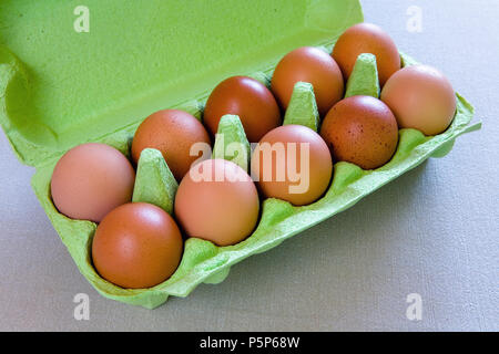 Braun huhn eier liegen in der Green Box. Essen. Stockfoto