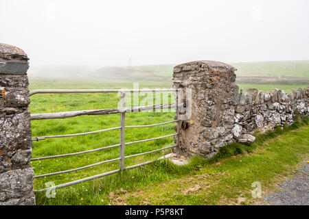 Steinmauer und Tor in Nebel Nebel Annestown Irland Stockfoto