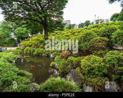 Gärten der Nezu Schrein in Tokio Bunkyo Stockfoto