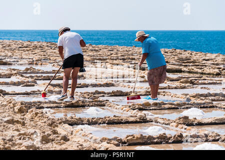 Ernte Meersalz aus dem alten Salinen in Marsalforn, Gozo, Malta. Stockfoto