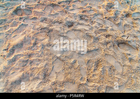 Fuß und Schuh drucken Drucken am Strand Stockfoto