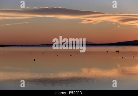 Sonnenuntergang über dem Etang des Moures et de Vic, im Hintergrund Mont Canigou in den Pyrenäen Orientales. Villeneuve-les-Maguelone. Frankreich Stockfoto