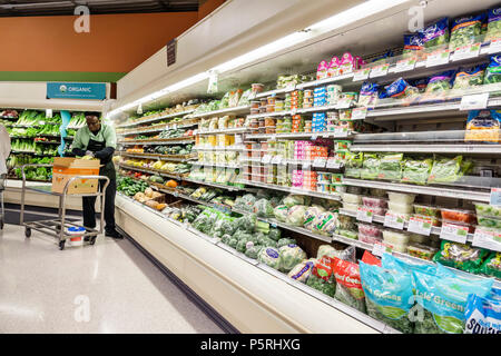 Stuart Florida, Publix Lebensmittelgeschäft Supermarkt Lebensmittel, innen, Lebensmittelabteilung, Kühlschrank, Paket Salate, Gemüse, Black man Männer männlich, stoc Stockfoto