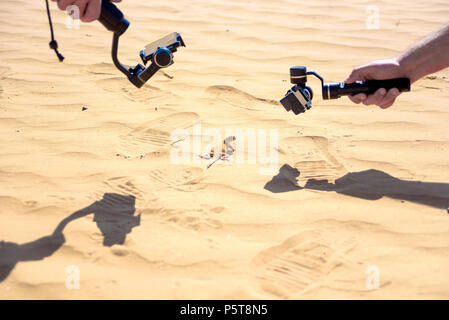 Die Abbildung der beschmutzten Kröte - vorangegangen Agama Stockfoto