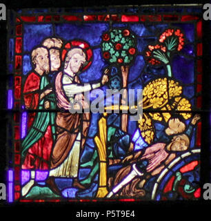 N/A. Das Leben des Hl. Martin - Chartres - untere Paneel. Michelet - (Talk) 06:24, 17. Dezember 2016 (UTC) 333 Chartres-020 B2 Stockfoto