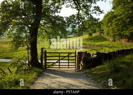 Gate Zugriff auf Ackerland und rechts der Weg in der Nähe von skelwith im Lake District England Großbritannien Stockfoto