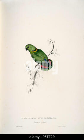 N/A. Agapornis swindernianus Englisch: ein Gemälde von einem Schwarz-collared Lovebird (Original mit Untertiteln "Psittacula swinderniana. Swindern der Sittich') von Edward Lear (1812-1888). 28 August 2008, 06:21:00 Uhr. Edward Lear (1812 - 1888) Alternative Namen Derry, Derry; Eduard Liri; Entouarnt Lar; Eduard Lir; Lear; Lear e Beschreibung englischer Künstler, Autor und Dichter Geburtsdatum / Tod 12. Mai 1812 vom 29. Januar 1888 Ort der Geburt / Todes Englisch: Holloway, London, England. Englisch: Sanremo, Italien. Kontrolle: Q 309759 VIAF: 36920855 ISNI: 0000 0001 21006493 ULAN: 500016261 LCCN: n 79084 Stockfoto