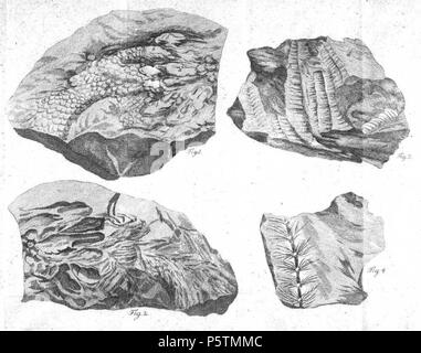 N/A. Beschreibung eines Ilmenauischen Steines, der die Figur eines Krebses in sich enthält. 1710. Johann Andreas Schmid 427 De Krebs Scan 3. Stockfoto