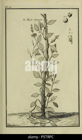 Beschreibung, vertus et usages de sept Cent dix-neuf Plantes: Paris: P.F. Didot le Jeune, 1767. Http://biodiversitylibrary.org/page/42993079 438 Beschreibung, vertus et usages de sept Cent dix-neuf Plantes (10610070154) Stockfoto