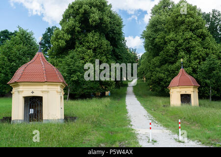 Weg hinauf zur Wallfahrtskirche Schoenenberg in Ellwangen im Sommer Stockfoto