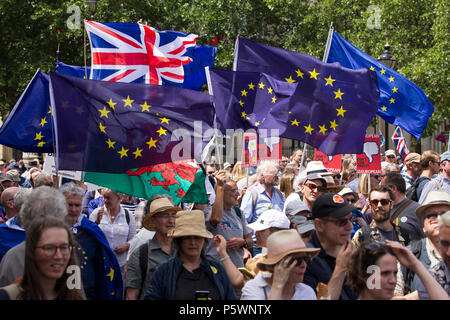 Bisher größte pro-europäischen März am 23. Juni für einen Menschen gehalten. Der Protest fällt mit dem zweiten Jahrestag des Brexit Referendum. Stockfoto