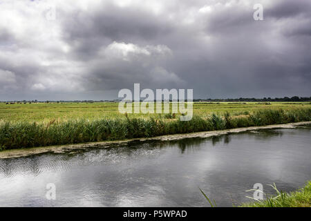 Blick auf die typisch holländische Landschaft in het Groene Hart, der das Land in der Randstad der Niederlande. Schwere Wolken, mit Spiegelungen im Wasser, Stockfoto