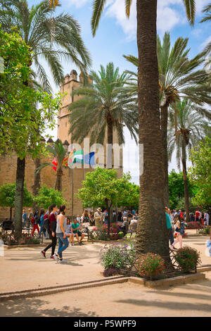 Cordoba Alcazar, Ansicht von Touristen im Palm Tree versammelt gesäumten Plaza vor der Alcazar de los Reyes Cristianos, Cordoba, Andalusien, Spanien. Stockfoto