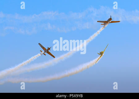 Yak 52 Flugzeug aus dem Team Iacarii Acrobati eine Demonstration Flug in Timisoara Airshow durchführen Stockfoto