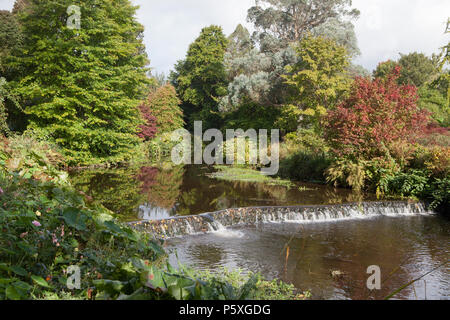 Der Fluss verläuft durch Vartry Mount Usher Gardens in der Grafschaft Wicklow, der als einer der schönsten Gärten Irlands und arboretums Stockfoto