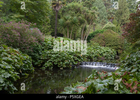 Der Fluss verläuft durch Vartry Mount Usher Gardens in der Grafschaft Wicklow, der als einer der schönsten Gärten Irlands und arboretums Stockfoto