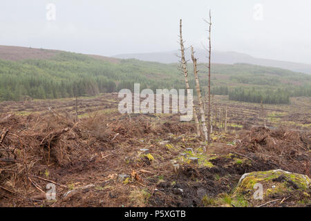 Kommerzielle Forstwirtschaft in den Wicklow Mountains in Irland, die die Zerstörung der fragilen Torf Umfeld bog Stockfoto