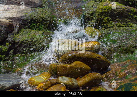 Wasserfall stolpern über Algen bedeckt Felsbrocken in einem kleinen Bach. Stockfoto