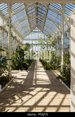 Gemäßigt Haus in Kew RBG, Innenansicht. Stockfoto