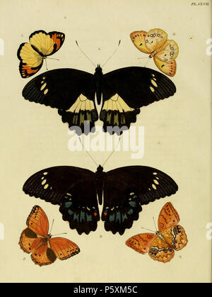 N/A. Platte CLVII A, B:' (Papilio) Gambrisius' (=Papilio gambrisius), siehe Funet. C, D:" (Papilio) Aenippe' (=Ixias pyren), siehe Funet männlich. Weibchen auf der Platte 105 Abb. C, D, E, F:' (Papilio) Laodice' (=Lachnoptera iole, iconotype) finden Sie in der globalen Lepidoptera Namen Index, NHM. . 1779. Pieter Cramer (1721 - 1776) und Caspar Stoll (zwischen 1725 und 1730 - 1791) 389 CramerAndStoll uitlandsche Dessel - Vol.2 - Platte 157 Stockfoto