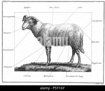 386 Rozier-Cours d'Landwirtschaft, Tome 6, PL. 24. Stockfoto