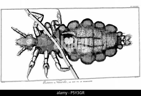 N/A. Englisch: Planches de l'encyclopédie de Diderot et d'Alembert, Band 5, Histoire Naturelle, PL. 84. 1768 (Veröffentlichung). Unbekannt 514 Encyclopedie volume 5-138 Stockfoto