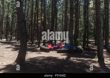 Campingplatz in Aguamansa (Insel Teneriffa) Stockfoto