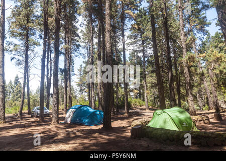 Campingplatz in Aguamansa (Insel Teneriffa) Stockfoto