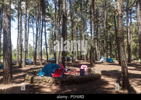 Campingplatz in Aguamansa (Insel Teneriffa) Stockfoto