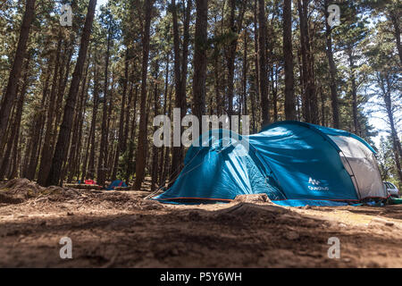 Campingplatz in Aguamansa (Insel Teneriffa) Stockfoto