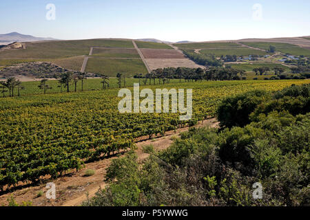 Die Aussicht von Durbanville Hills Wine Estate, Tygerberg Straße, Durbanville, Kapstadt. Stockfoto