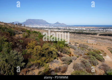 Der Blick auf den Tafelberg und die Bucht von Durbanville Hills Wine Estate, Tygerberg Straße, Durbanville, Kapstadt. Stockfoto