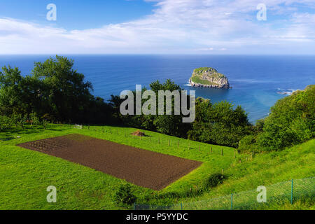 Obstgarten in Bermeo Küste in der Nähe von dem Meer mit Blick auf die Insel Aketxe Stockfoto